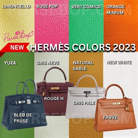 hermes bolide 35 color|Hermes colors list.